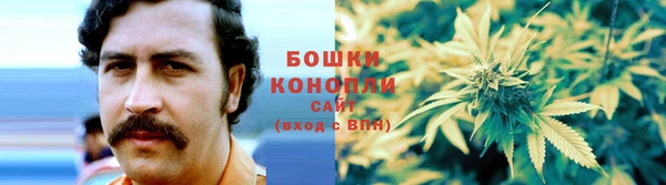 дмт Кодинск