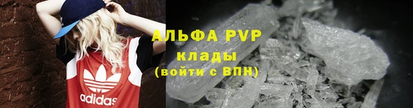 стафф Коряжма