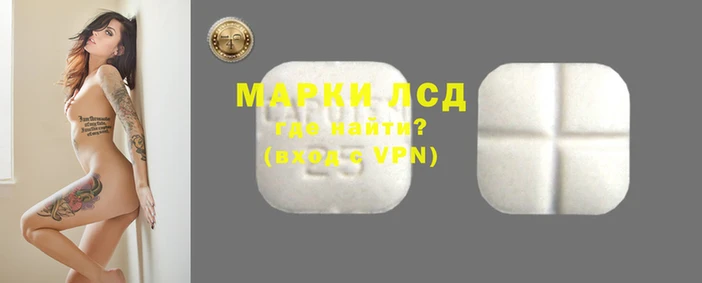 стафф Коряжма