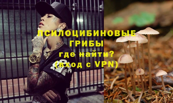 хмурый Костерёво