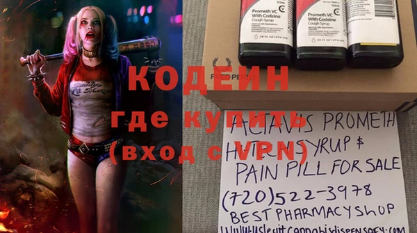 дмт Кодинск