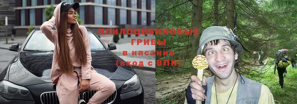 хмурый Костерёво