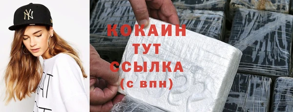дмт Кодинск