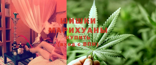 стафф Коряжма